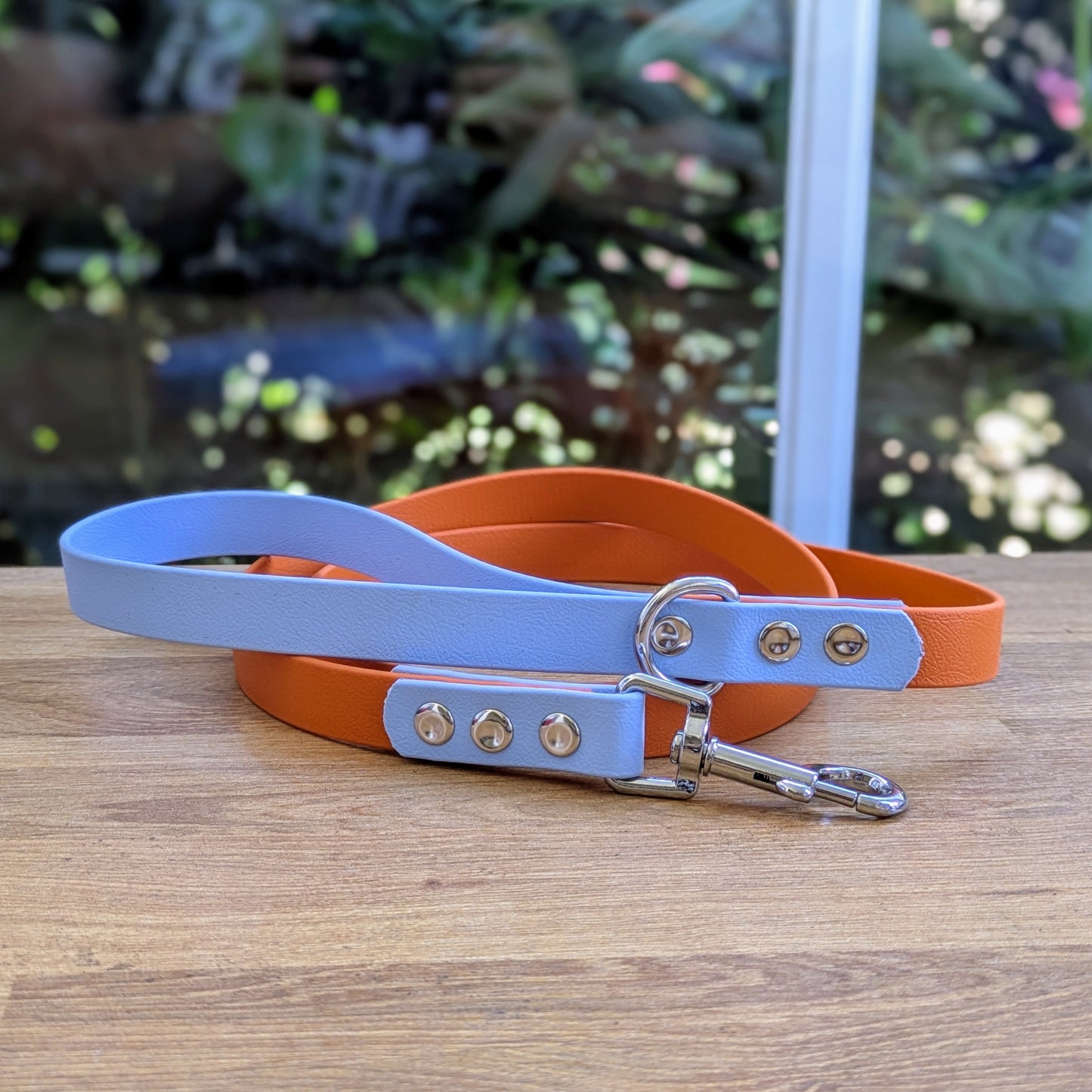 Laisse Simple Biothane - Bicolore