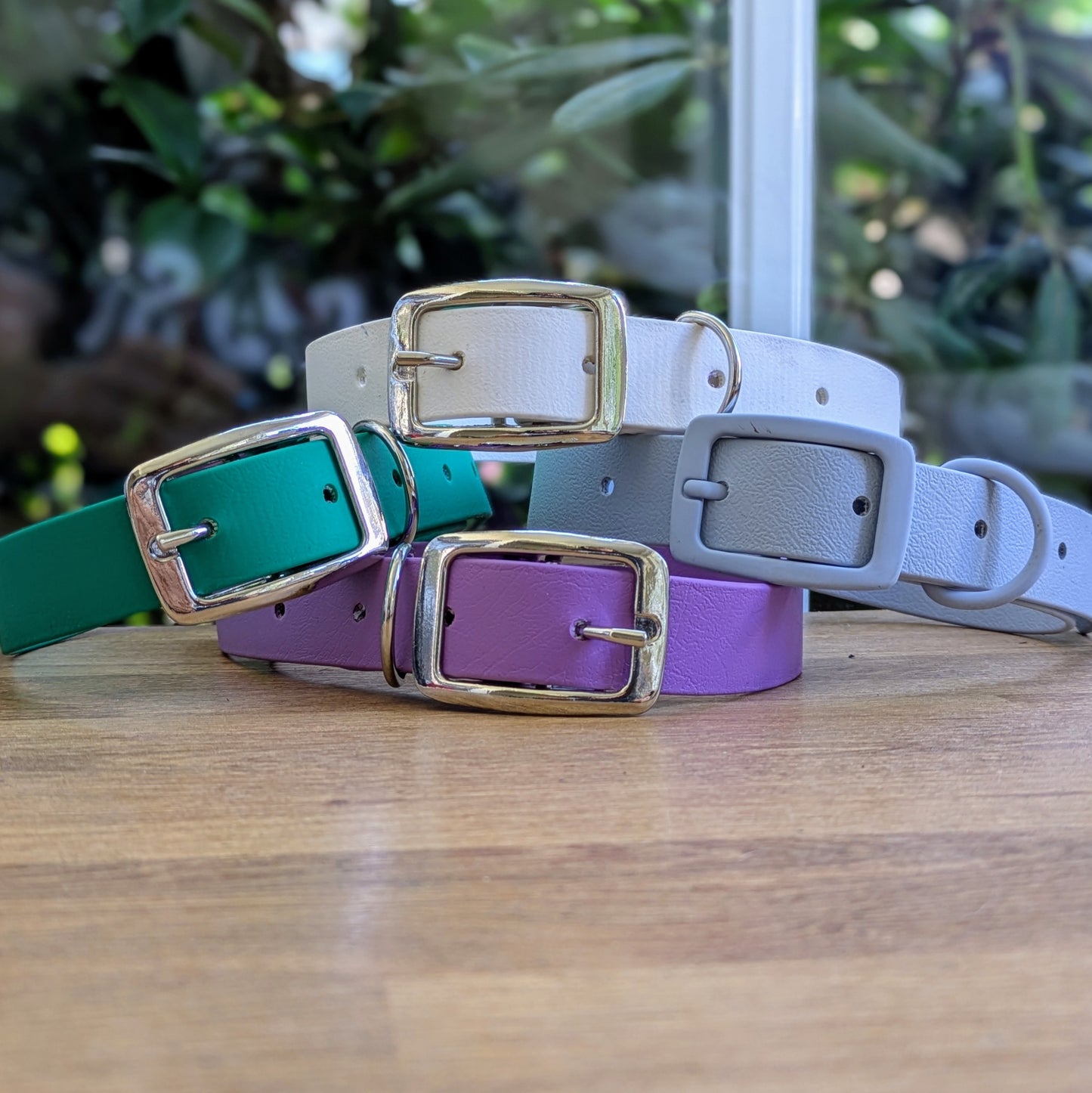 Collier Biothane - Simple