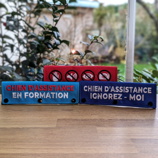 Manchon de Laisse – Personnalisé