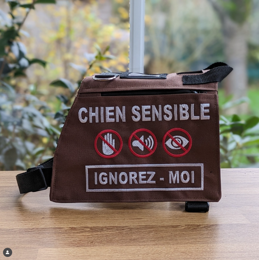 Gilet Personnalisé – Format Droit