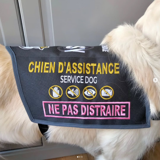 Gilet Personnalisé – Format Classique