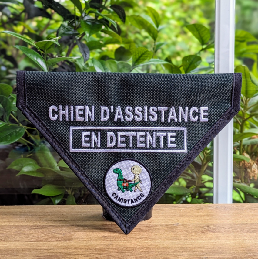 Bandana Personnalisé – Encadré