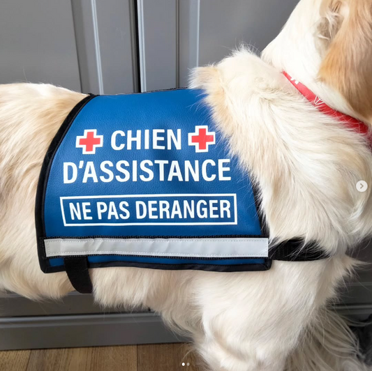 Gilet Vinyle - Format Simple