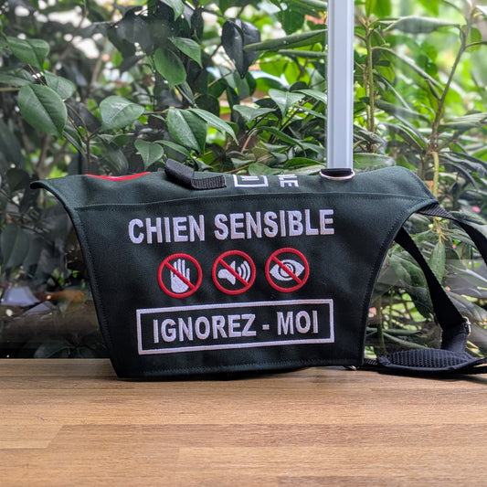 Gilet Y Personnalisé – Format Classique