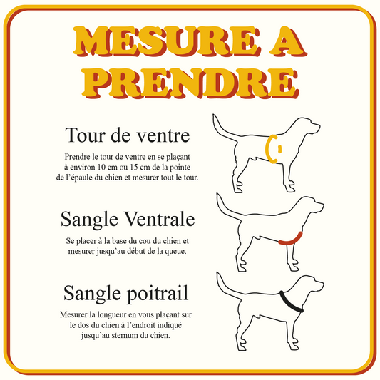 Harnais Personnalisée - Format Droit