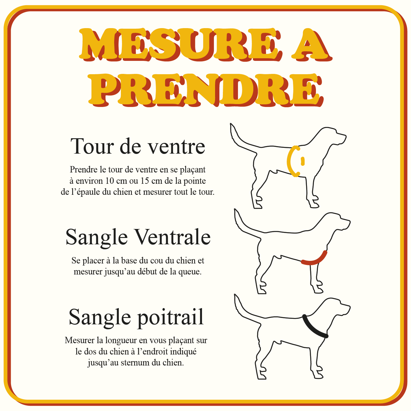 Harnais Personnalisée - Format Classique