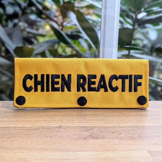 Manchon de Laisse - Chien Réactif