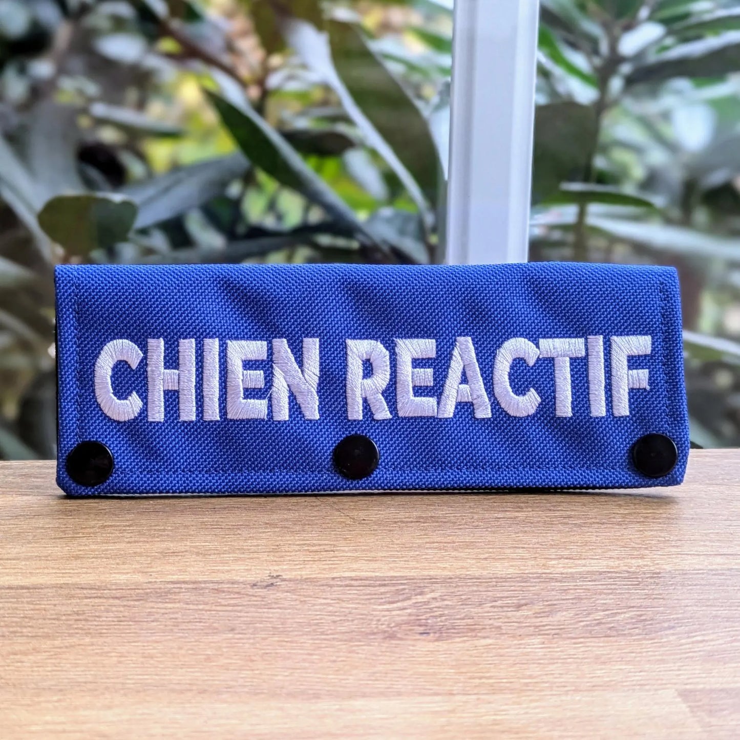 Manchon de Laisse - Chien Réactif