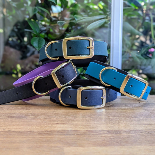 Collier Biothane - Bicolore