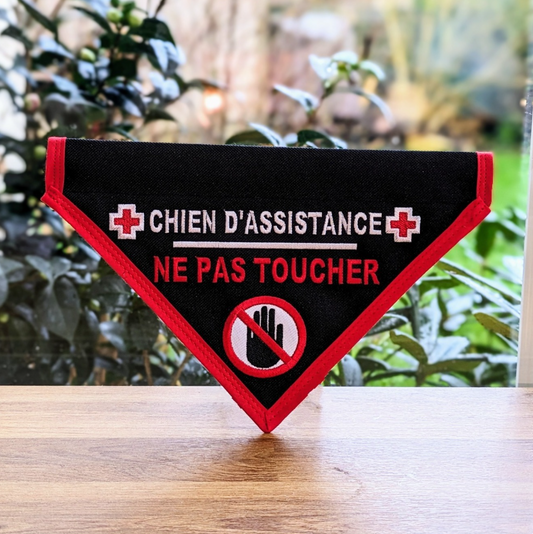 Bandana Personnalisé – Barre