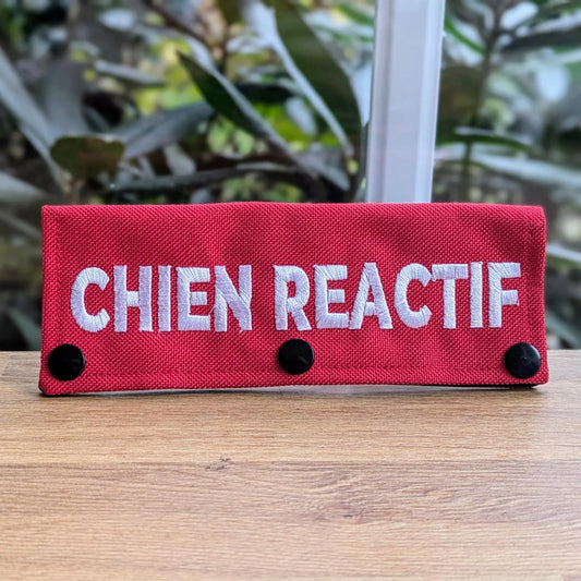 Manchon de Laisse - Chien Réactif