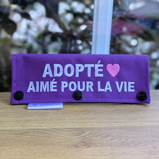 Manchon - Adopté, aimé pour la vie