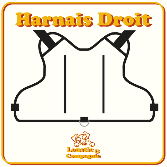 Harnais Personnalisée - Format Droit
